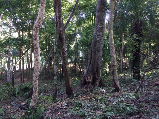 Estudo troca ou venda - Foto 3
