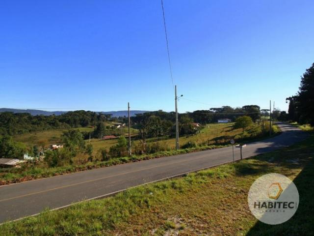 Chácara à venda em Rodeiozinho, Balsa nova cod:1202 - Foto 11