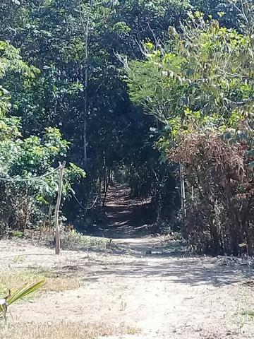 Chácara na Beira do Rio Cuiabá - Barranco alto II - Somente contrato de compra e venda - Foto 4