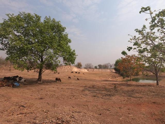 Vendo Sítio com 10 hectares à 23 Km de Cuiabá sentido Santo Antonio, - Foto 11