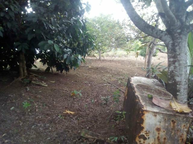 Vende- se - Foto 8