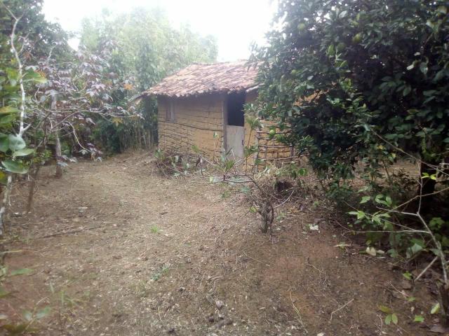 Vende- se - Foto 11