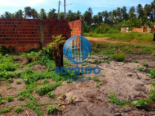 Lotes - Mal Deodoro - Beira de Lagoa - Foto 6
