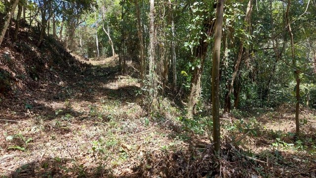 Terreno Vilas Romanas - Foto 3