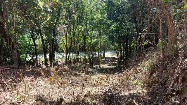 Terreno Vilas Romanas - Foto 4