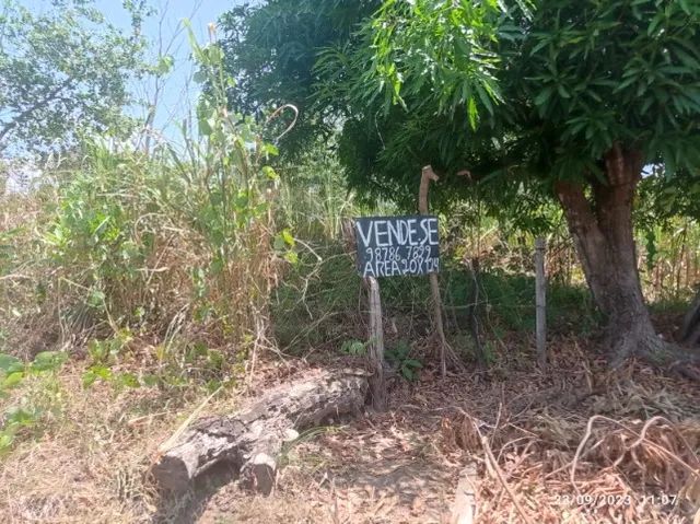 Vendo Terreno no Tajipuru