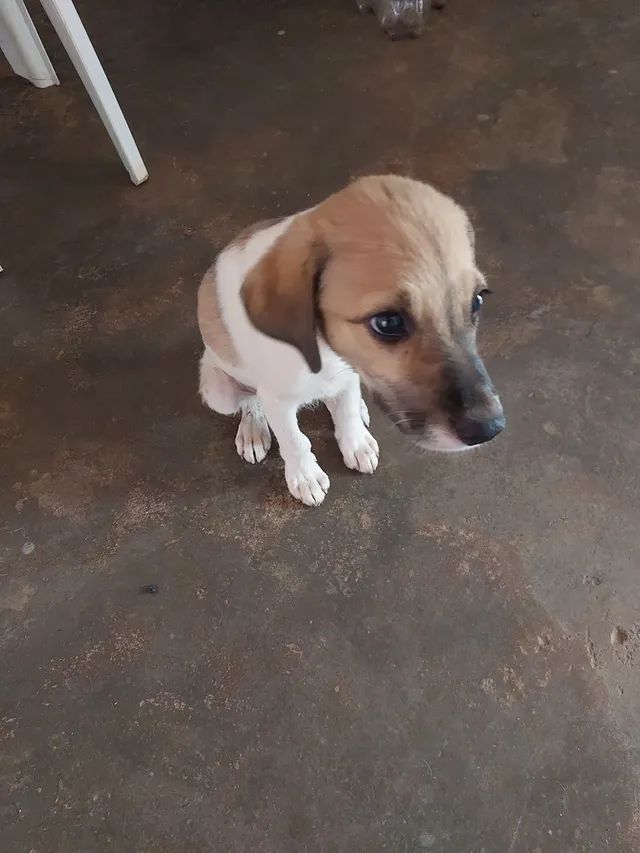 Doação 