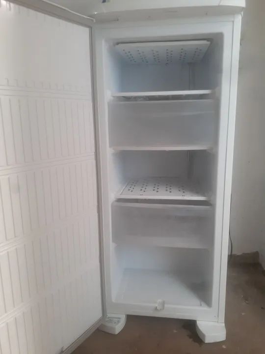 Freezer vertical Electrolux 