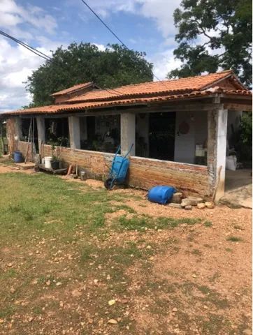 Fazenda 22 Alqueires, Dueré, Pecuária - Foto 3