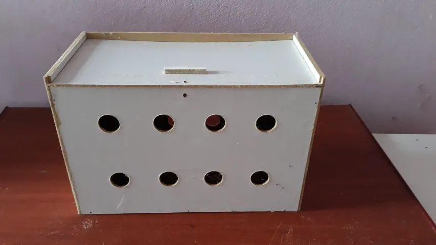 Caixa para Transporte de Pássaro - Foto 2