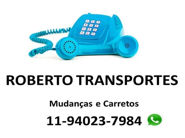Pequenas Mudanças Carreto Descarte Santana Tucuruvi Casas Verde Limão Vila Maria Imirim - Foto 2