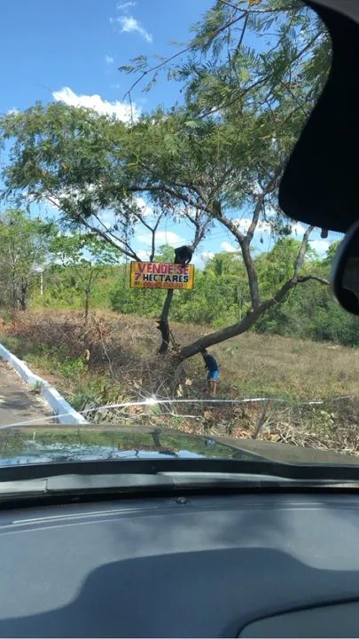Terreno na Br 316, sentido Teresina aproximadamente 06km de Caxias * - Foto 2