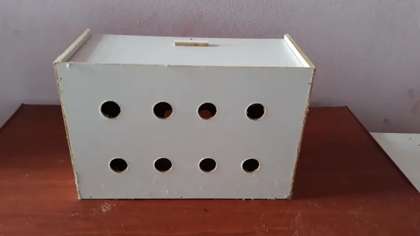 Caixa para Transporte de Pássaro