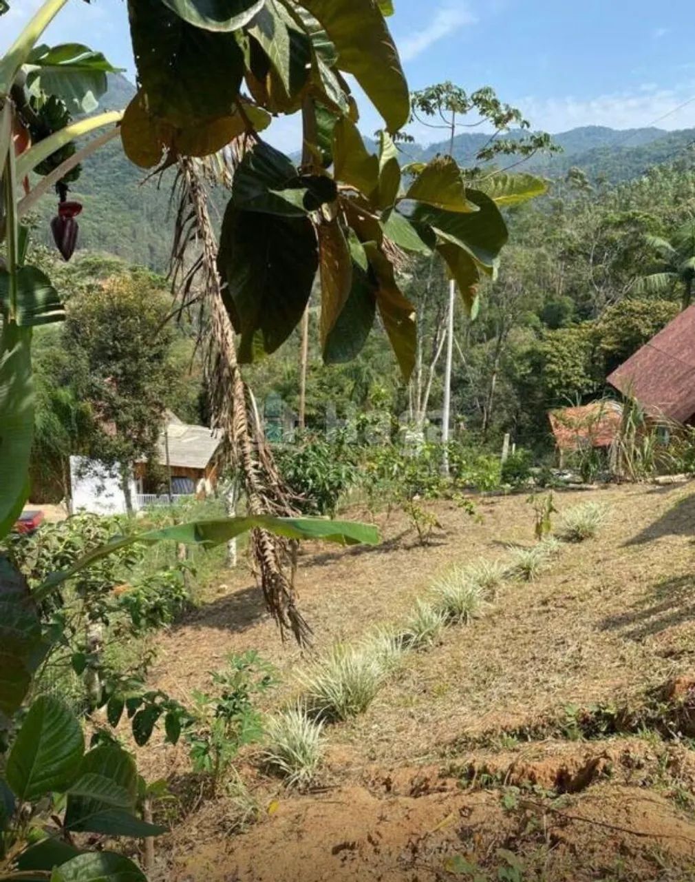 Sítio à venda em Canelinha/SC - Foto 3