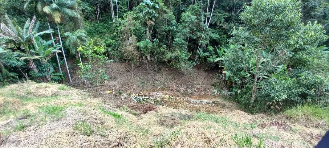 Terreno de 700m² em Lumiar: Oportunidade Única! - Foto 3