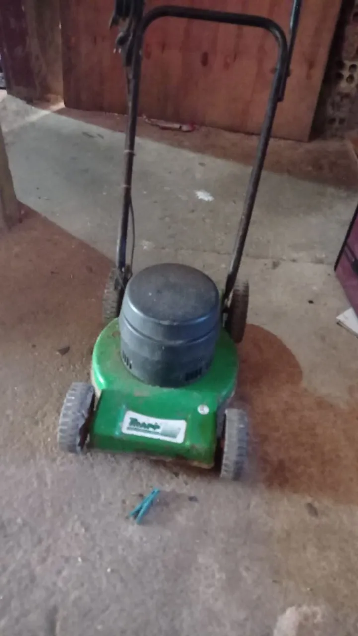 Cortador de grama elétrico
