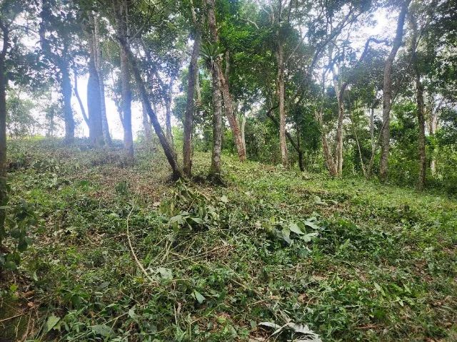 Foto - Petrópolis - Caxambu