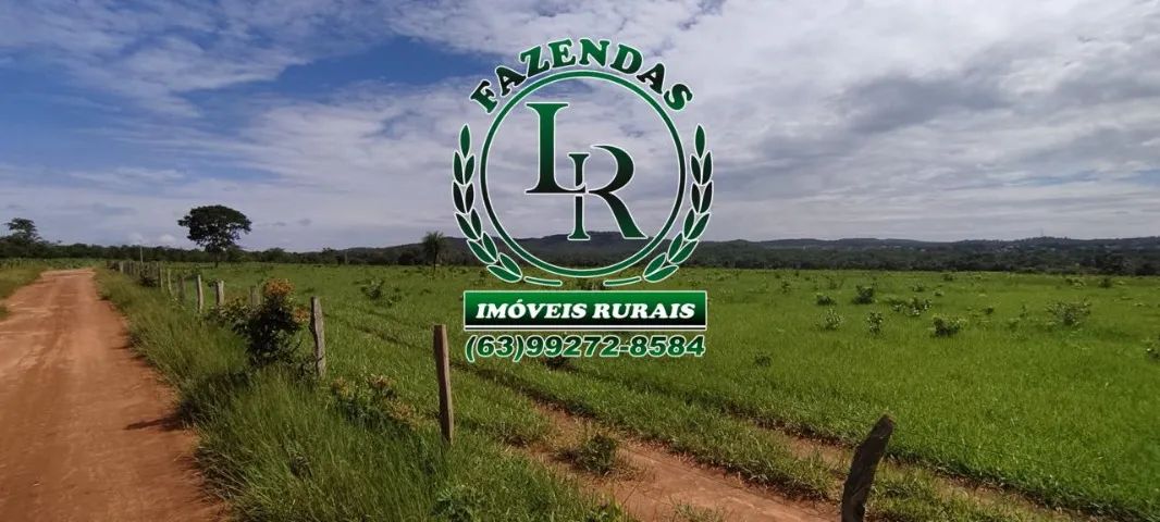 Fazenda/Chácara 31 Alqueires - Foto 2