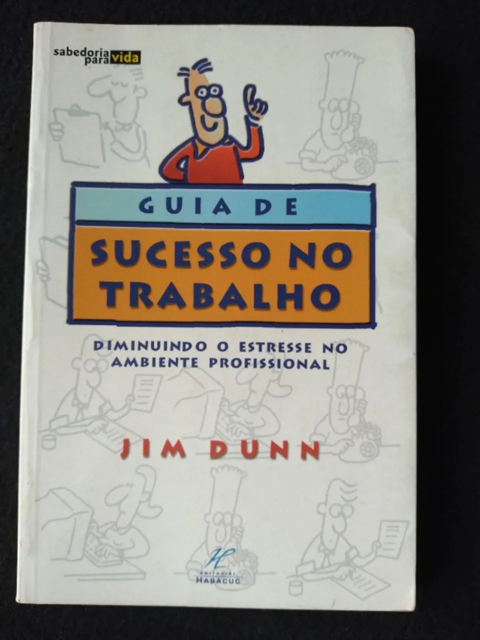 livro,  Guia  de sucesso no trabalho