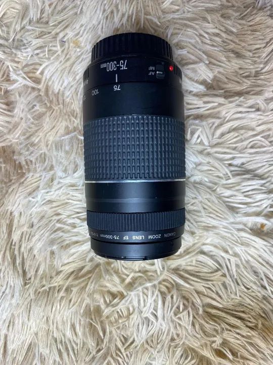 Lente Canon EF 75-300mm f/4.5-5.6  - Ótima para retratos! - Foto 5