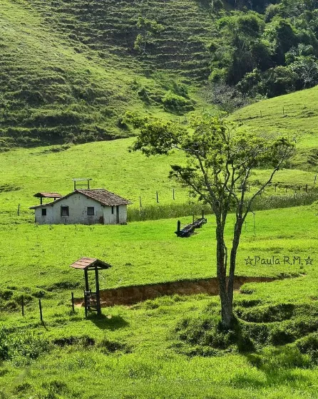 Fazenda em Luziania com 80 Hectares Escriturada e Registrada