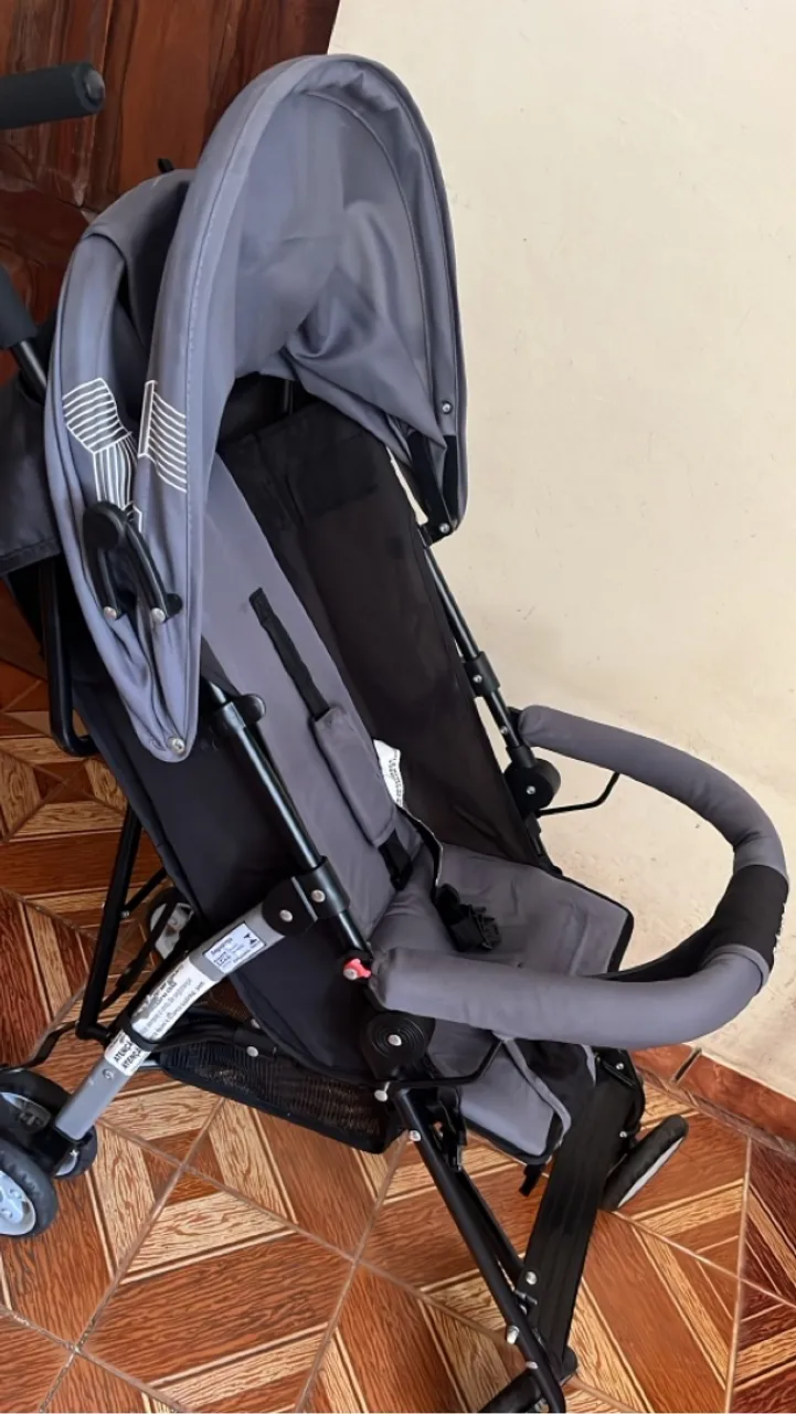 Carrinho de passeio 250,00