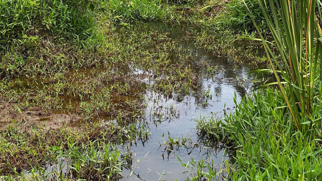 Vendo ou troco ( Meio alq em Bela vista ) - Foto 3