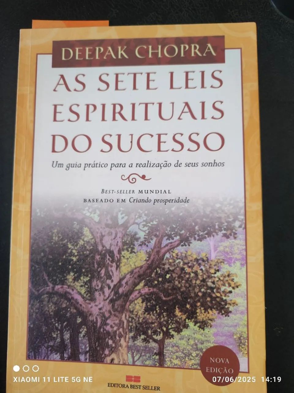 As Sete Leis Espirituais do Sucesso - Deepak Chopra