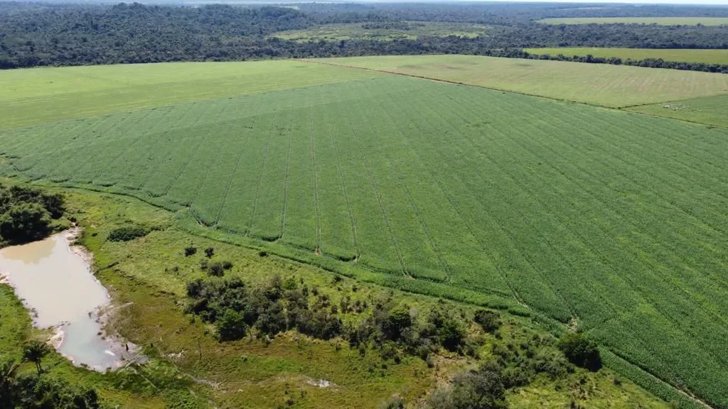 Fazenda 798 hec, e 677hec abertos em porto dos gaúchos MT. 51 milhões.