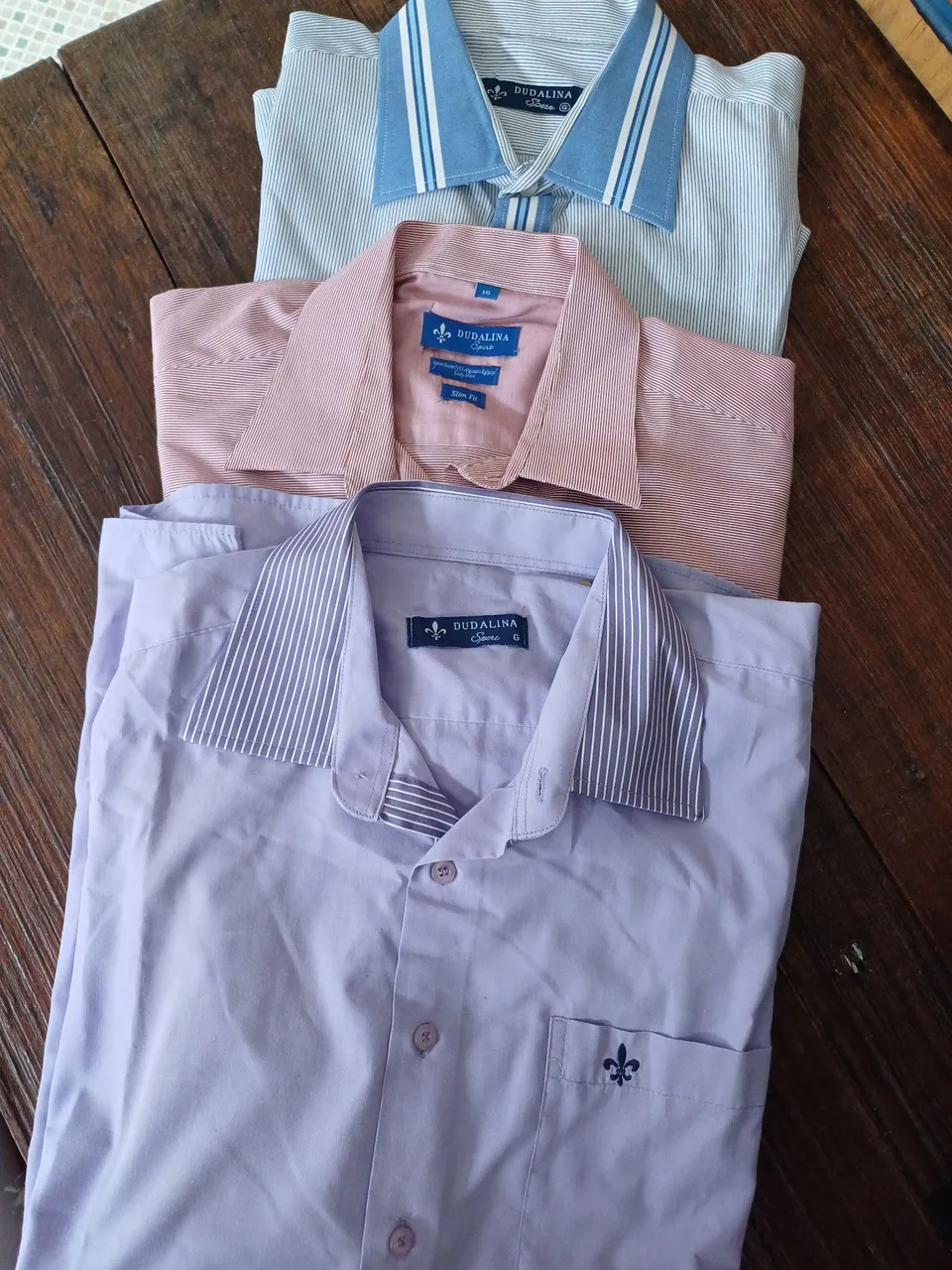 Camisas Dudalina - Cores e estilos variados