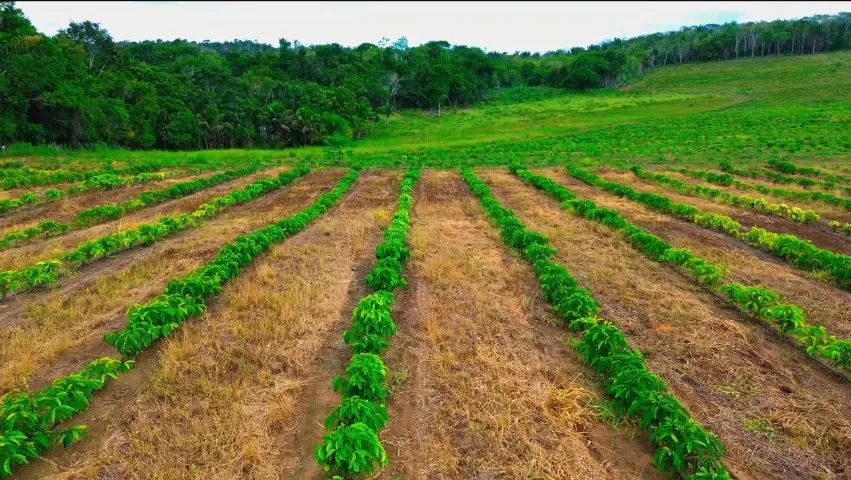 Fazenda para Café com irrigação  - Foto 2