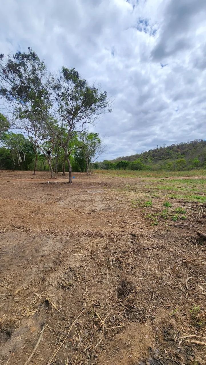 Chácara Alpercata  - Foto 5