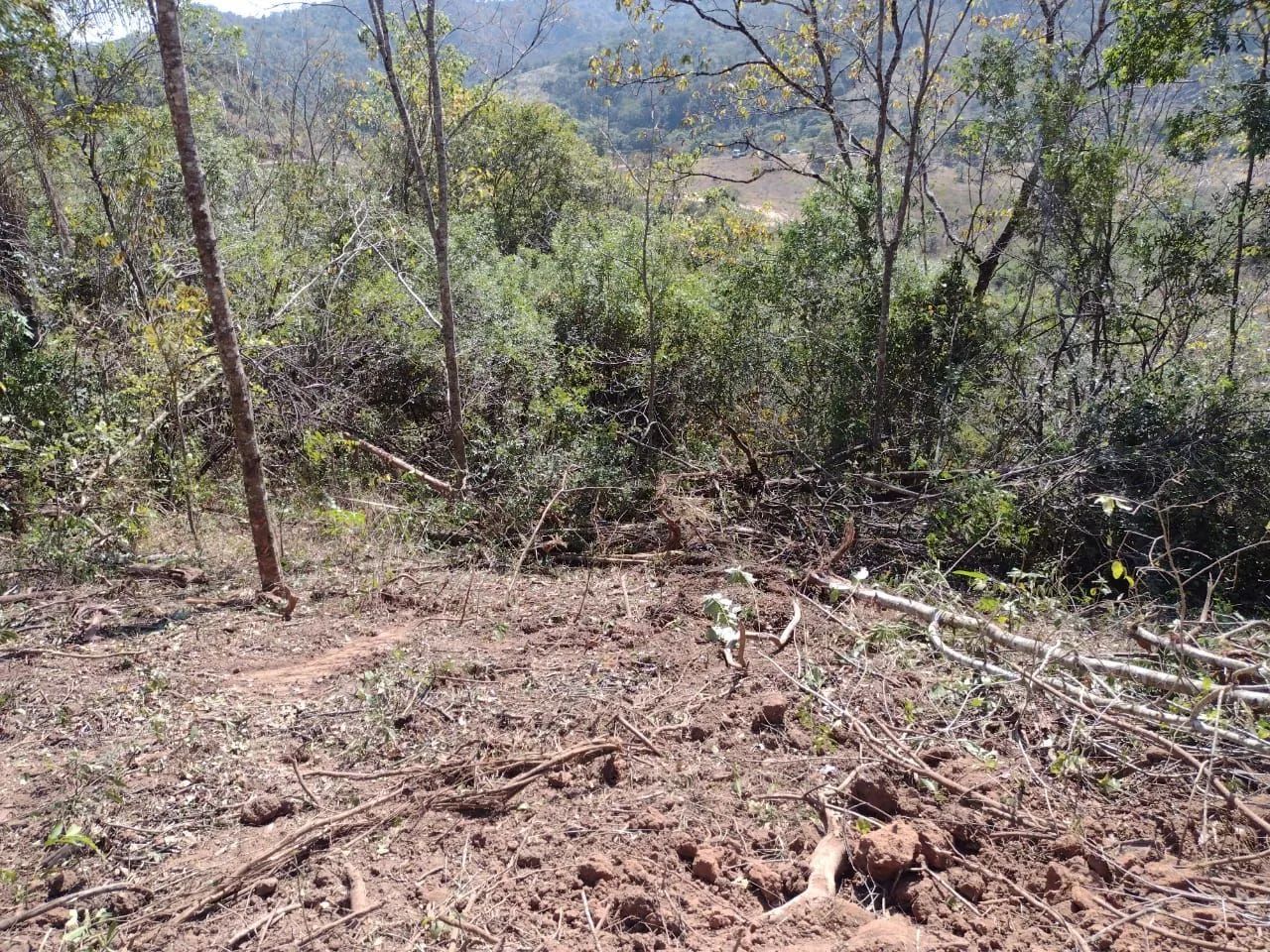 Lote  - Foto 3