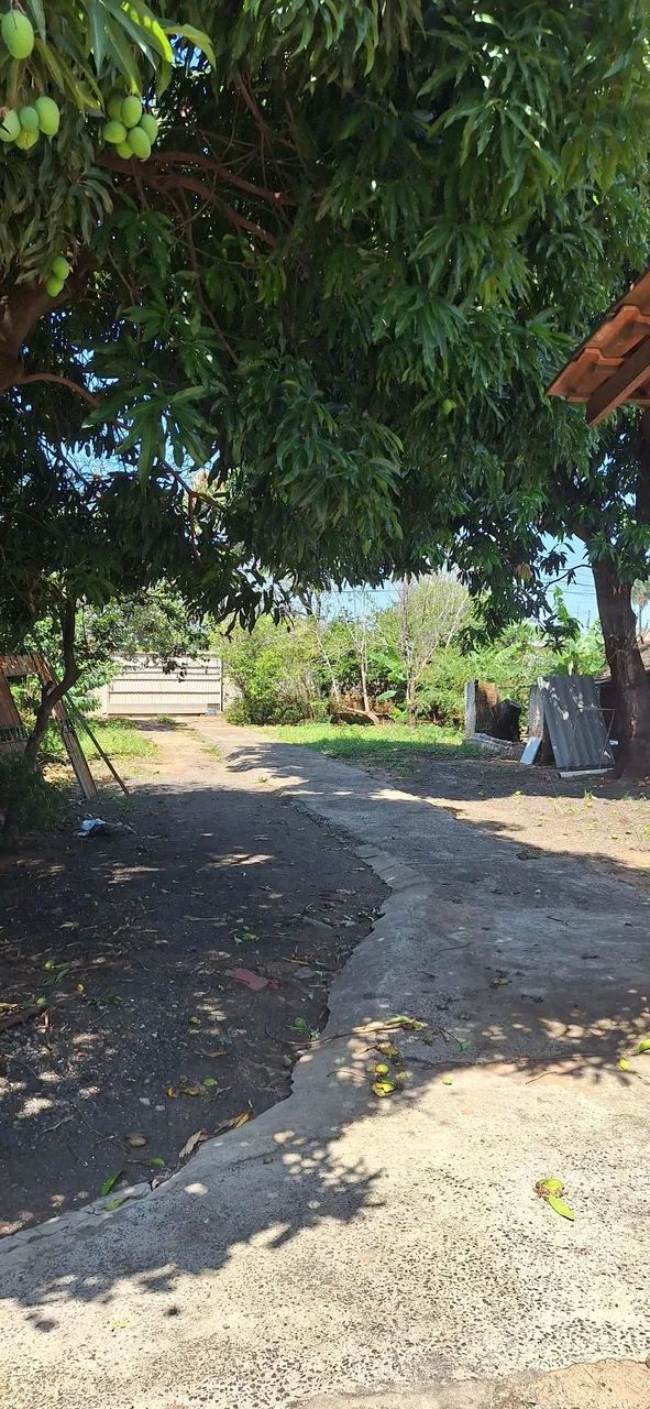 Vendo Casa na Vila bandeirantes  - Foto 3