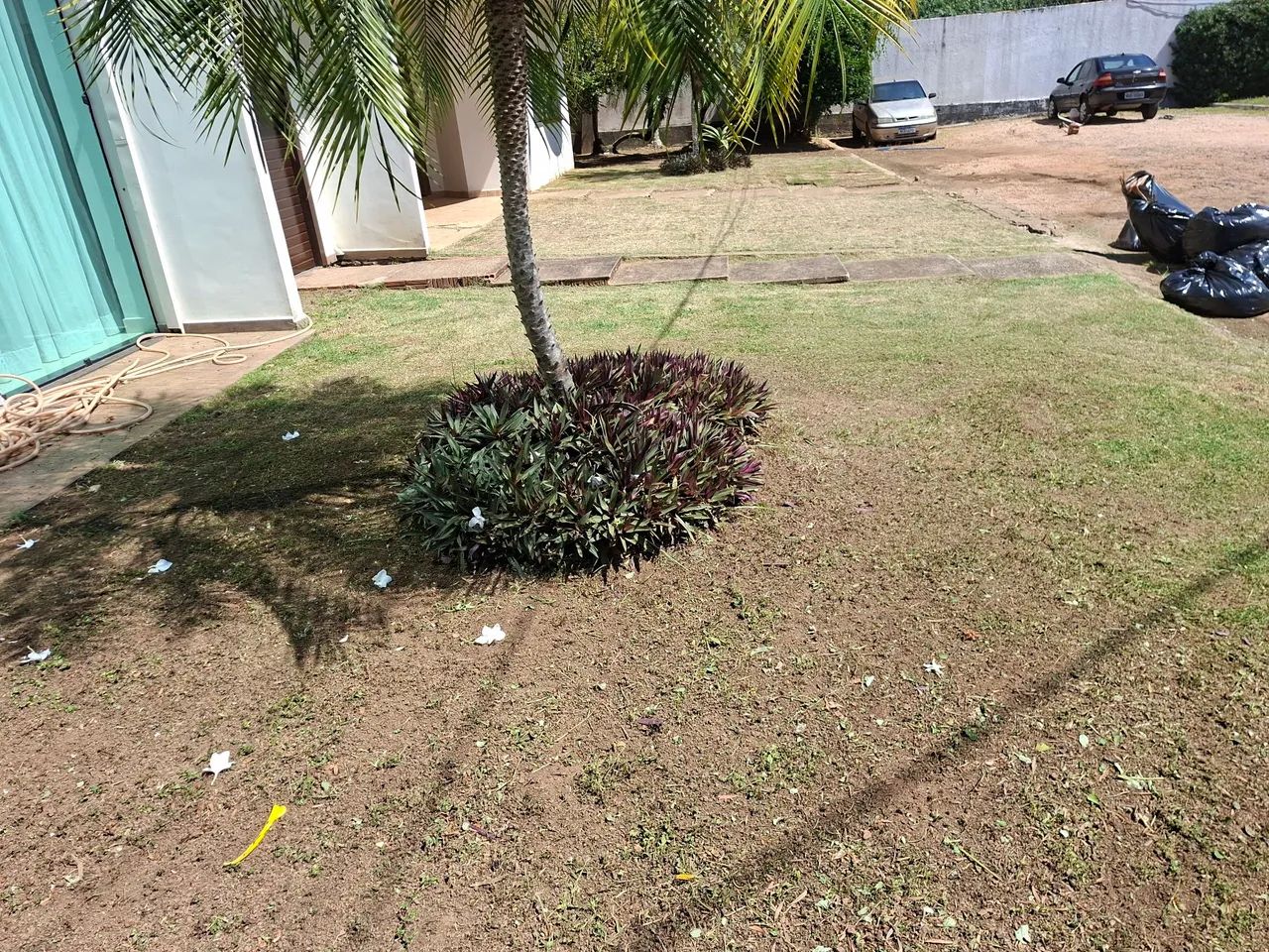 Jardinagens e Manutenções em geral. - Foto 4