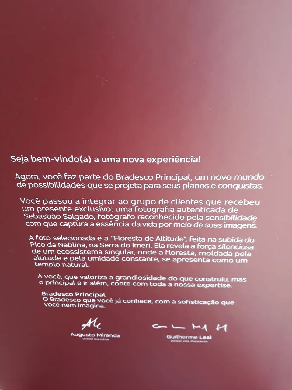 Foto Sebastião Salgado Floresta de Altitude com certificado - Foto 3