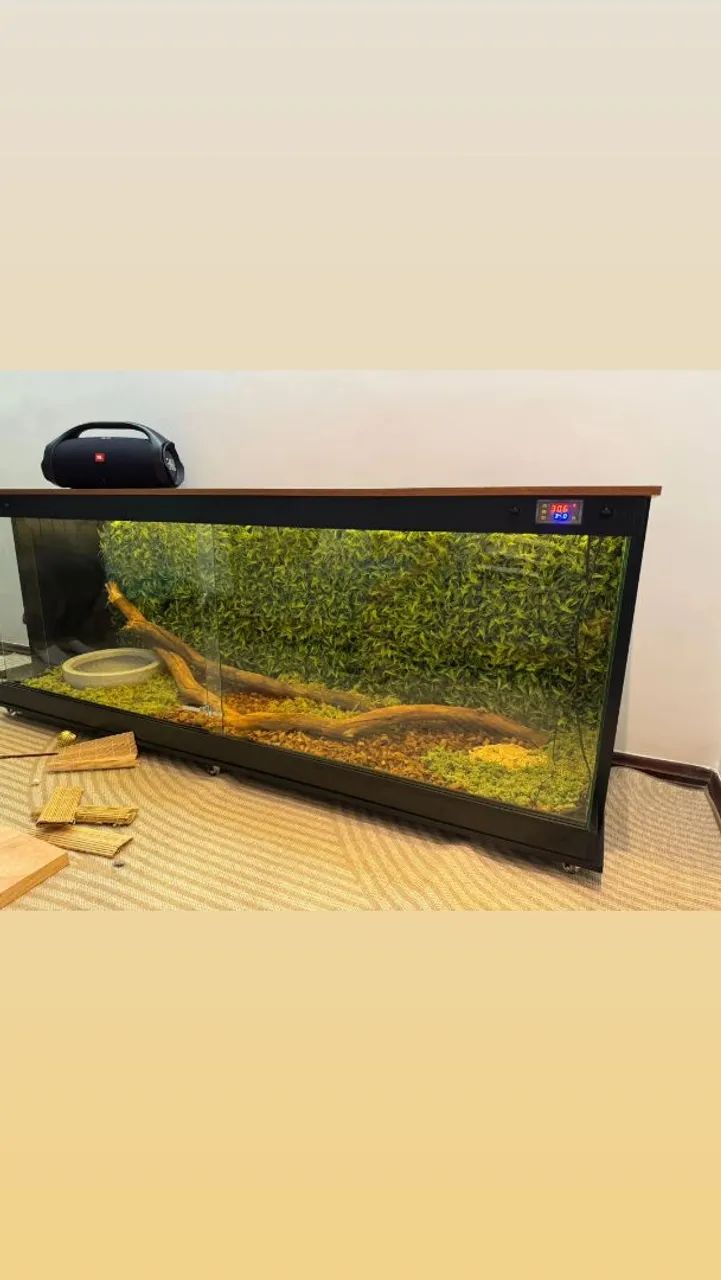 Terrários  - Foto 2