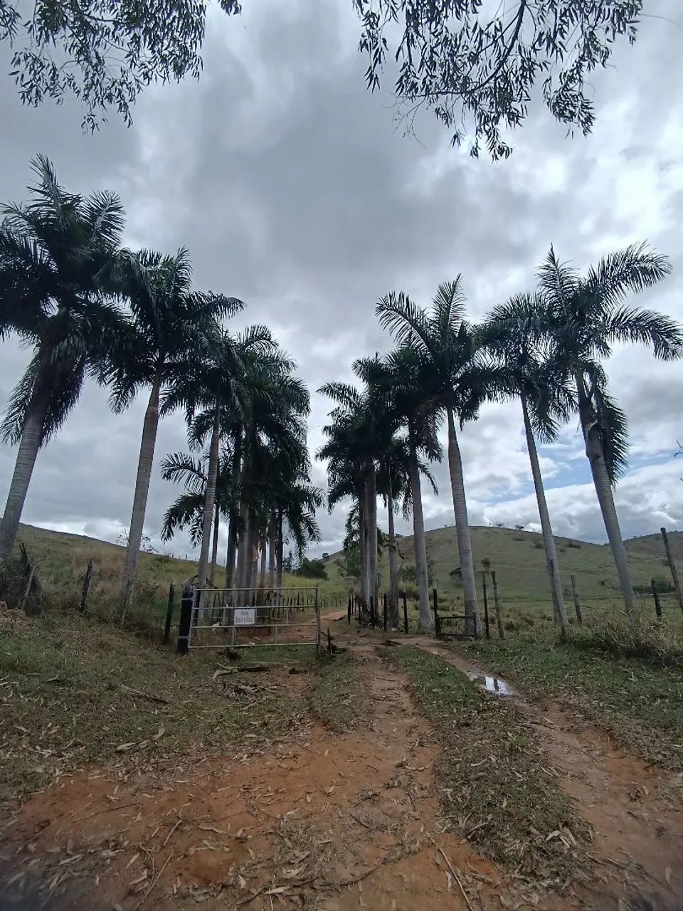 Vendo terreno para chácara  - Foto 2
