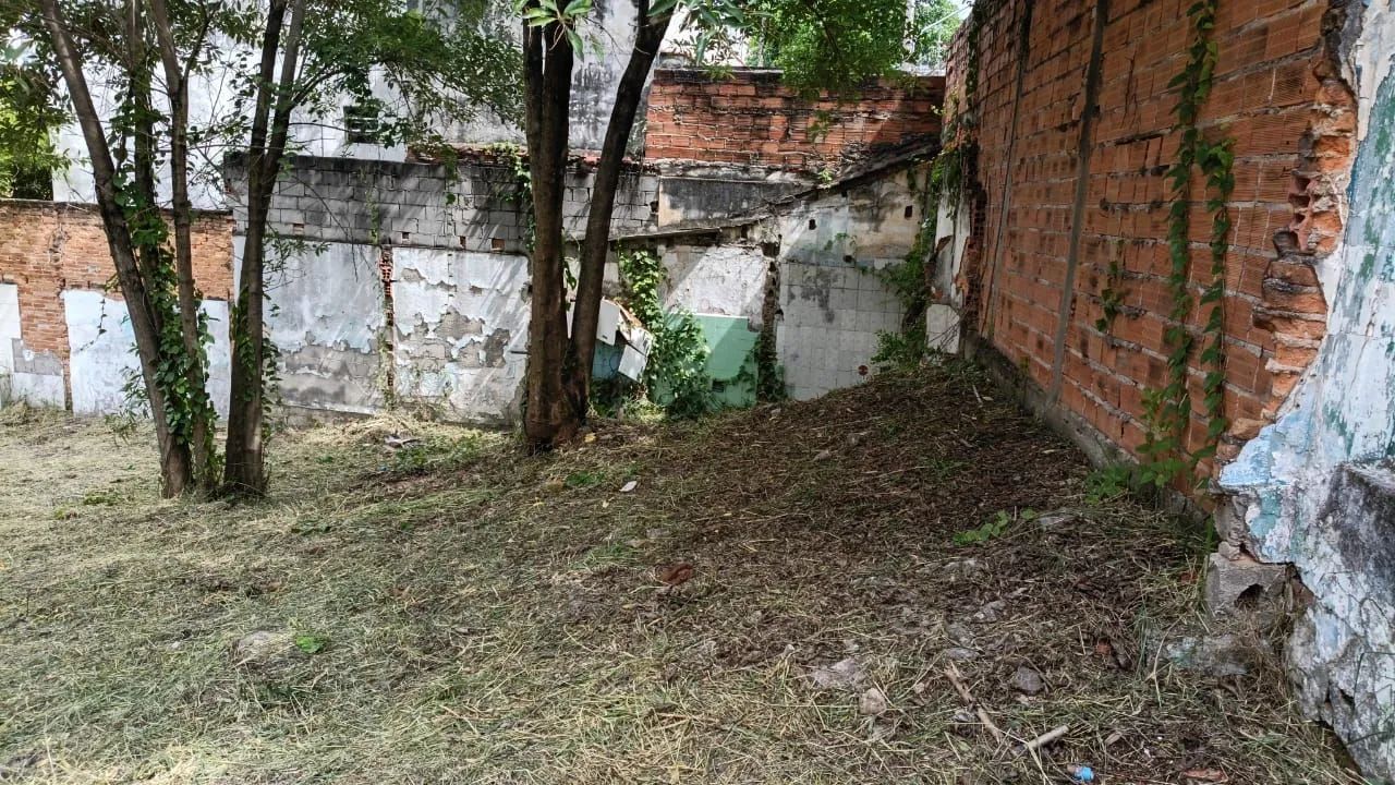 Limpeza de terrenos com Borgert Ser viço * - Foto 2