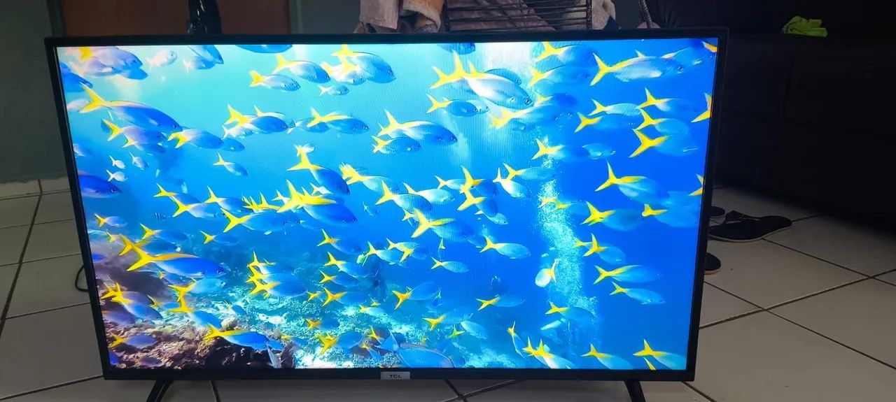 Tv TLC smart muito nova 43 polegadas 550 pra hoje 
