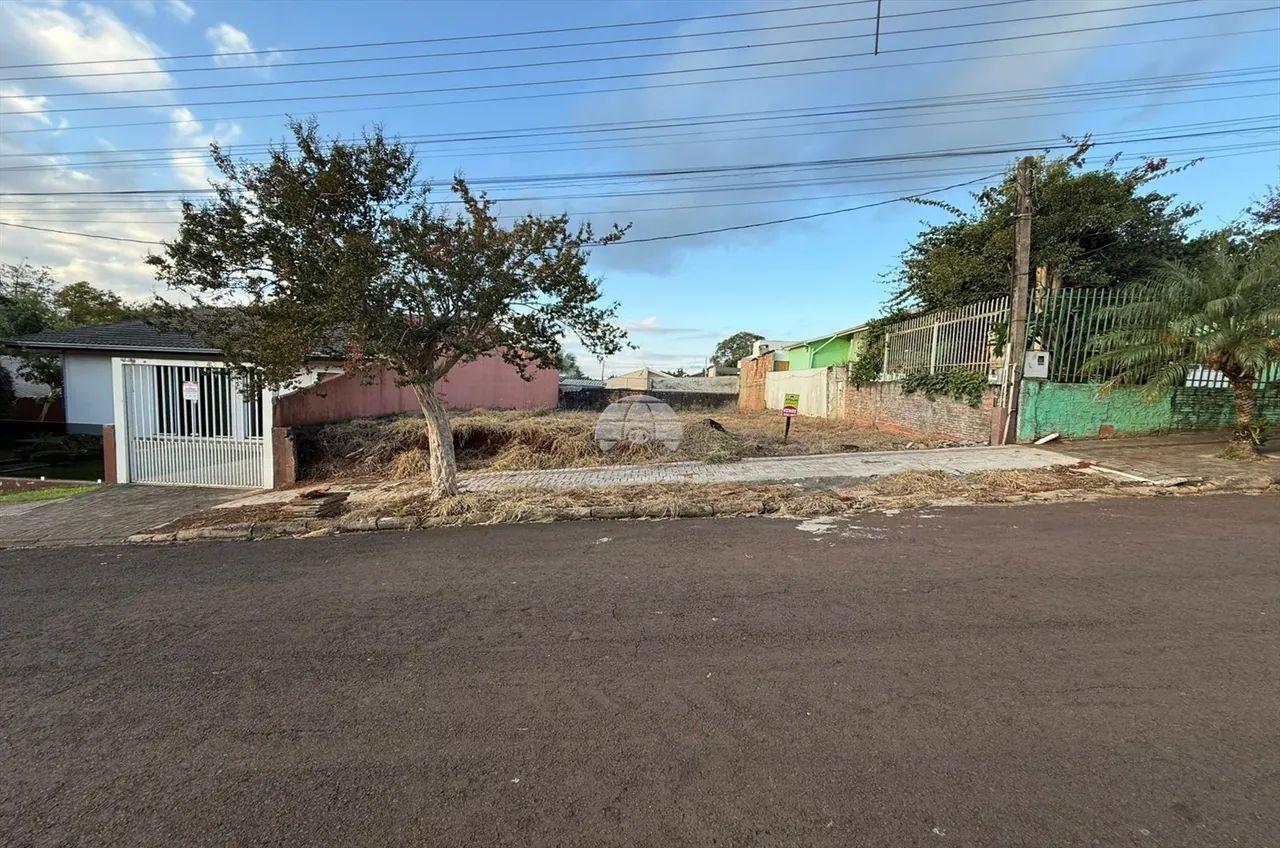 Vendas Terreno Pato Branco PR - Foto 3