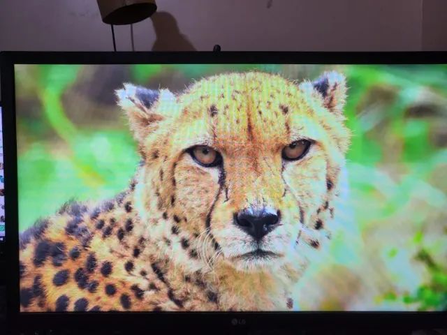 monitor lg 24 polegadas - Foto 5