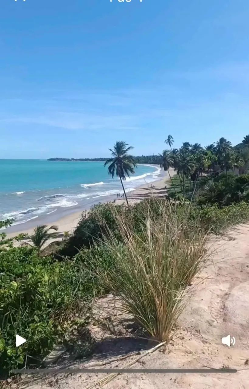 Vendo terreno em Japaratinga - Foto 4
