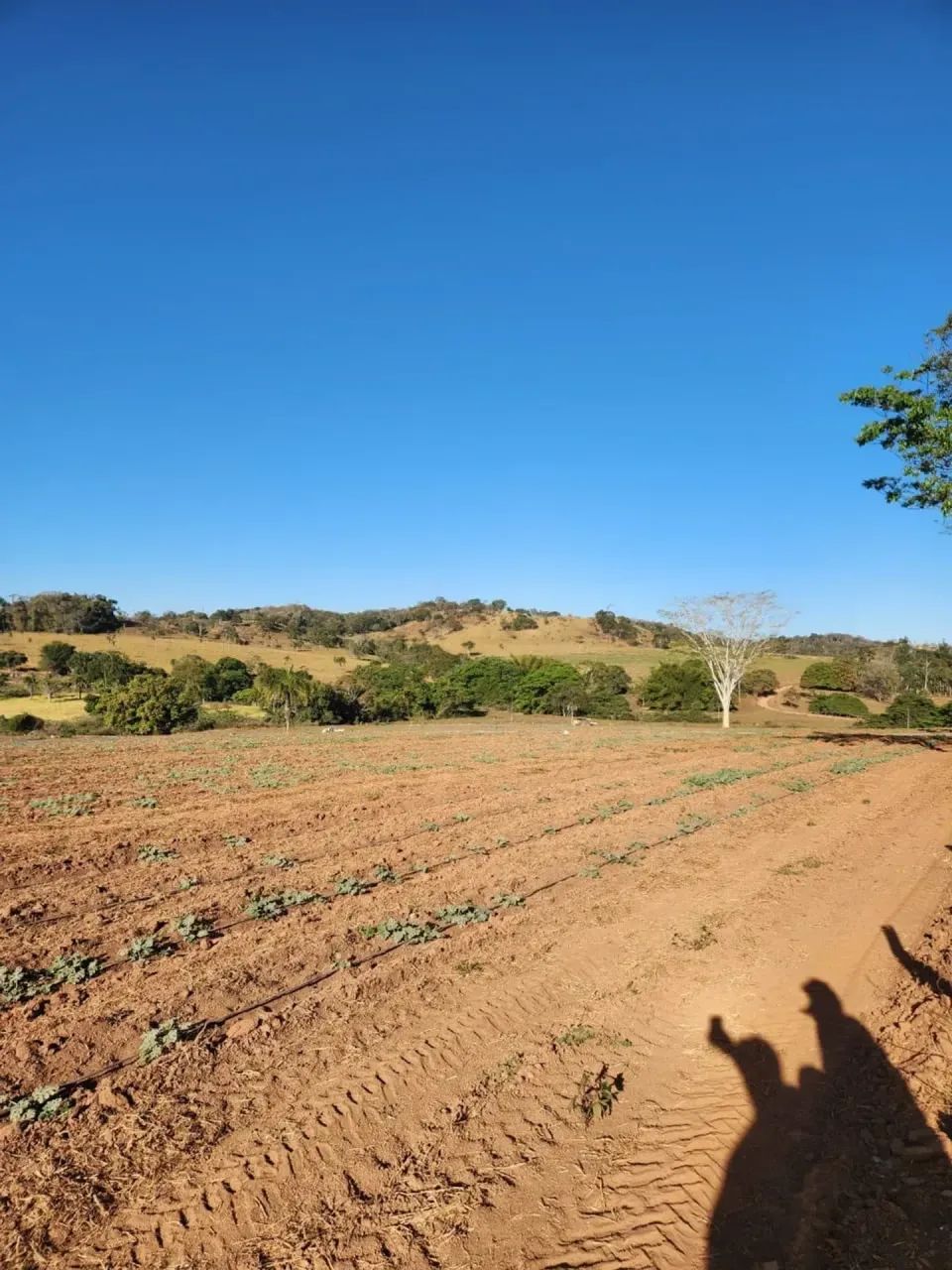 Fazenda a venda, em Uruana - Goiás!!!