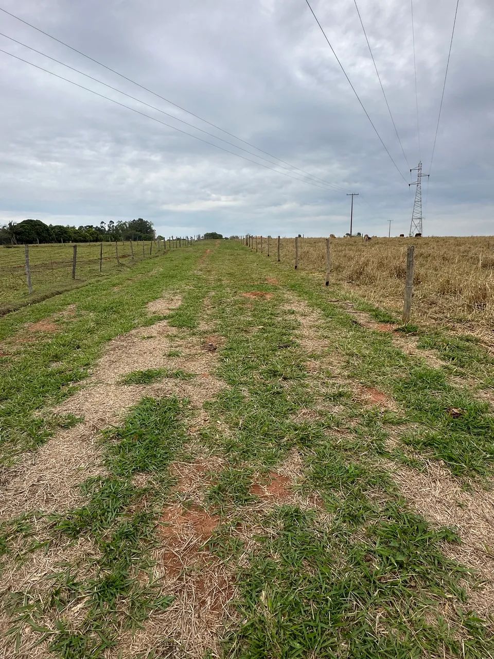 Chácara proximo a cidade 2.12 hectares