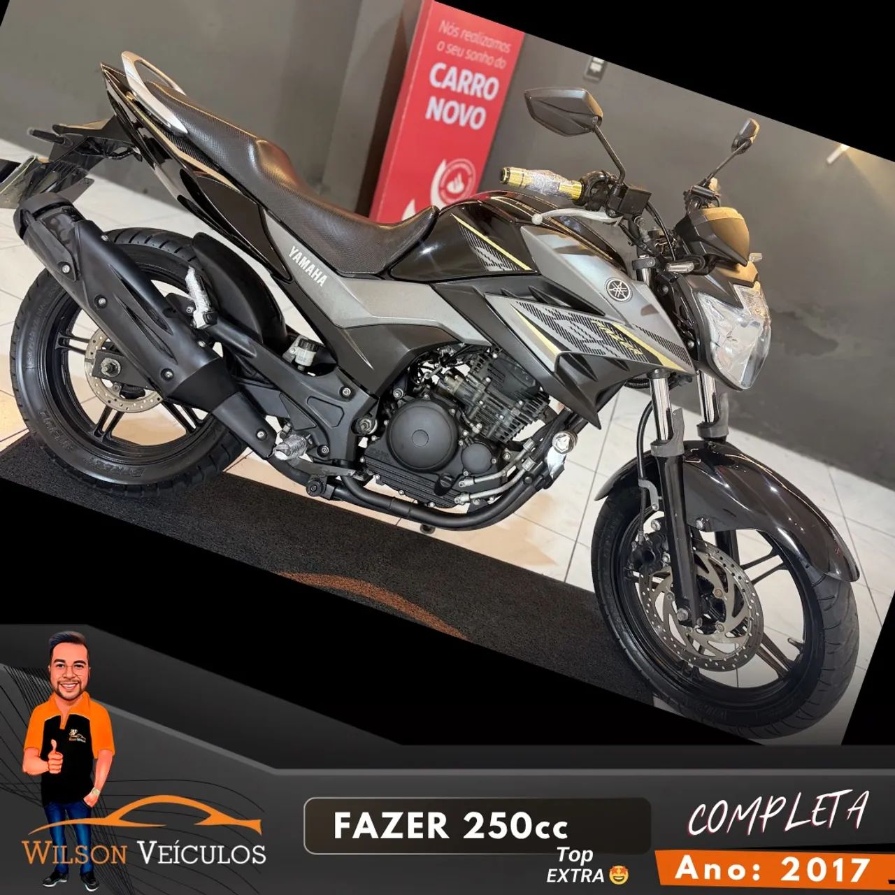 Yamaha 250 Fazer Flex 2017 - 1501976501 | OLX