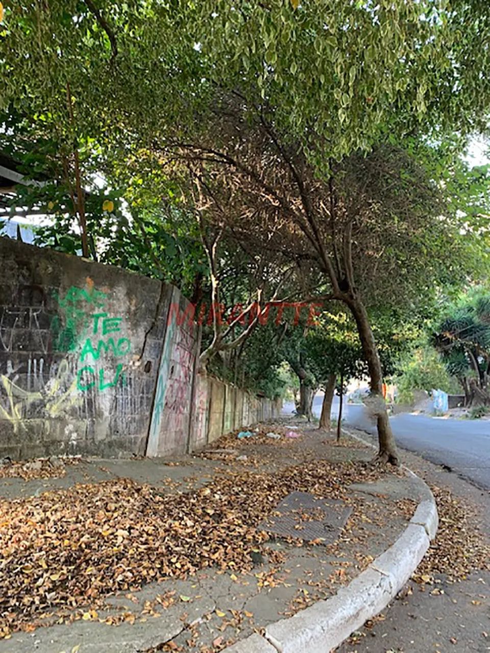 Terreno de 235m² em Sumaré - Foto 4