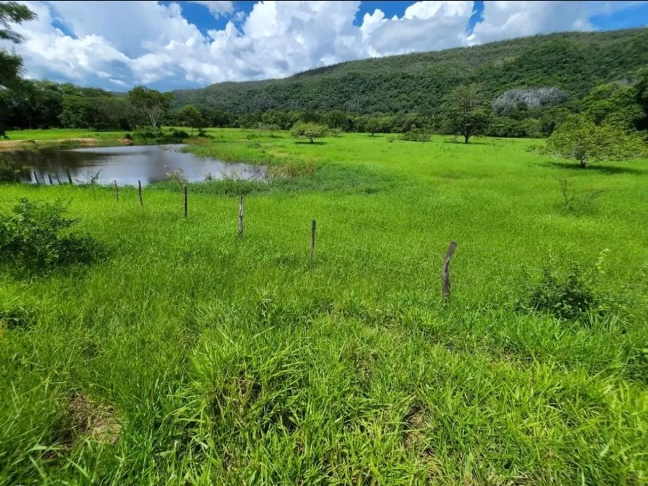 FAZENDA A VENDA - Foto 3