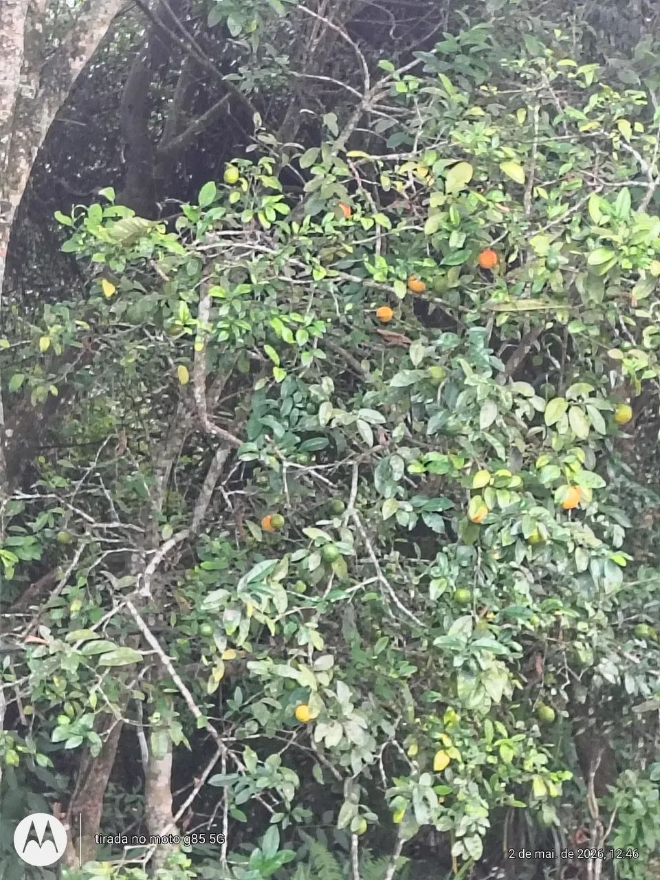 Venda ou permuta  - Foto 2