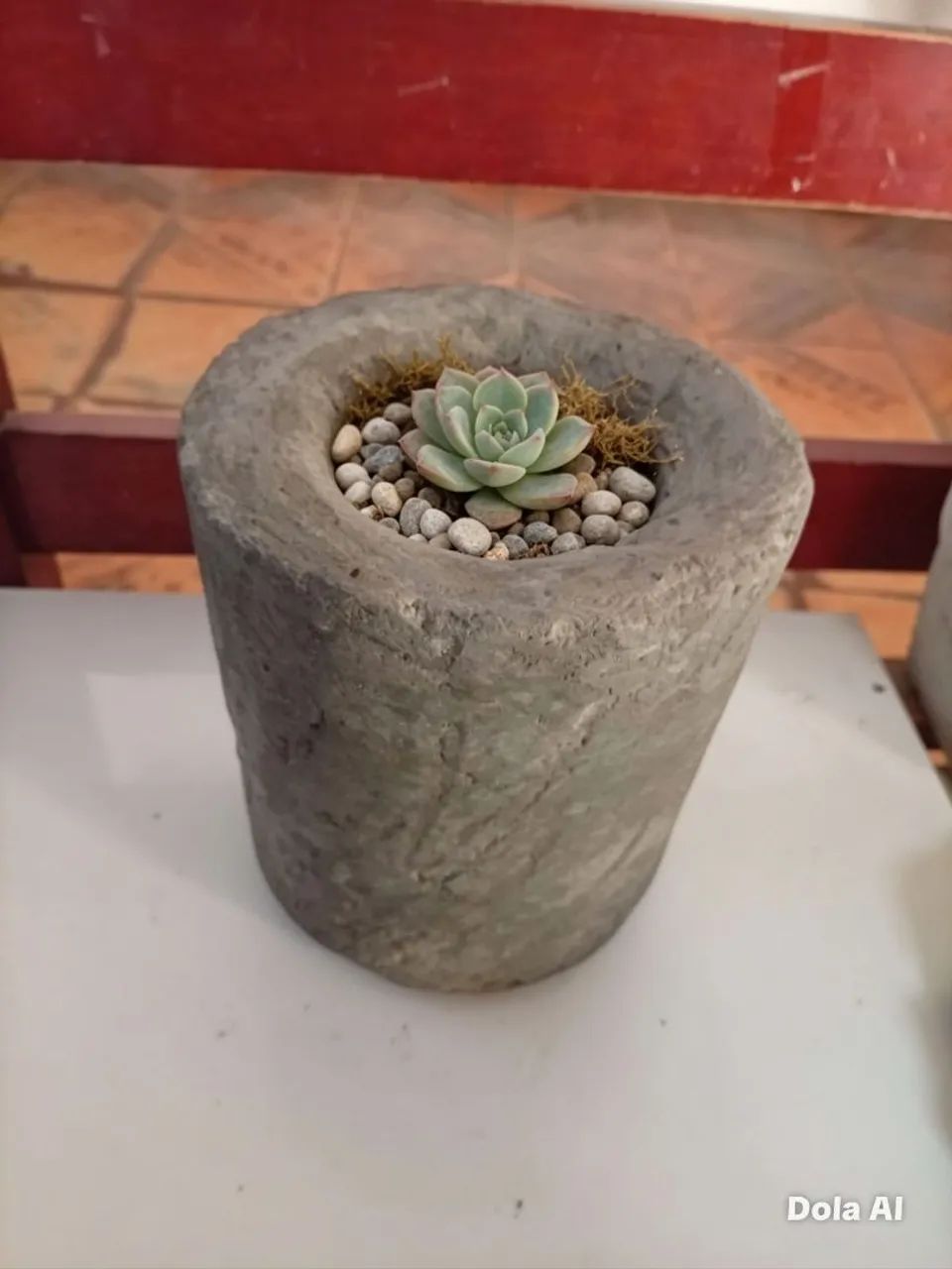 Vaso de plantas  - Foto 2